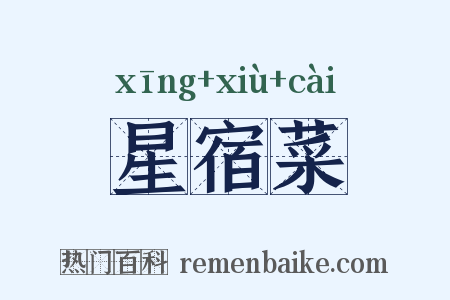 星宿菜是什么意思的图片